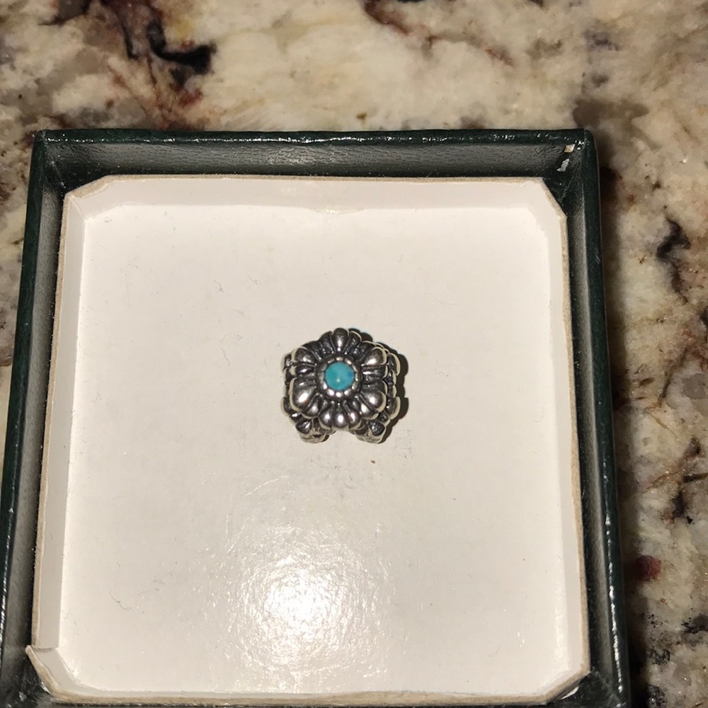 Pandora charms